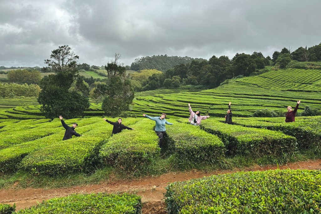 Viaje grupal a las islas azores campos de té gorriana