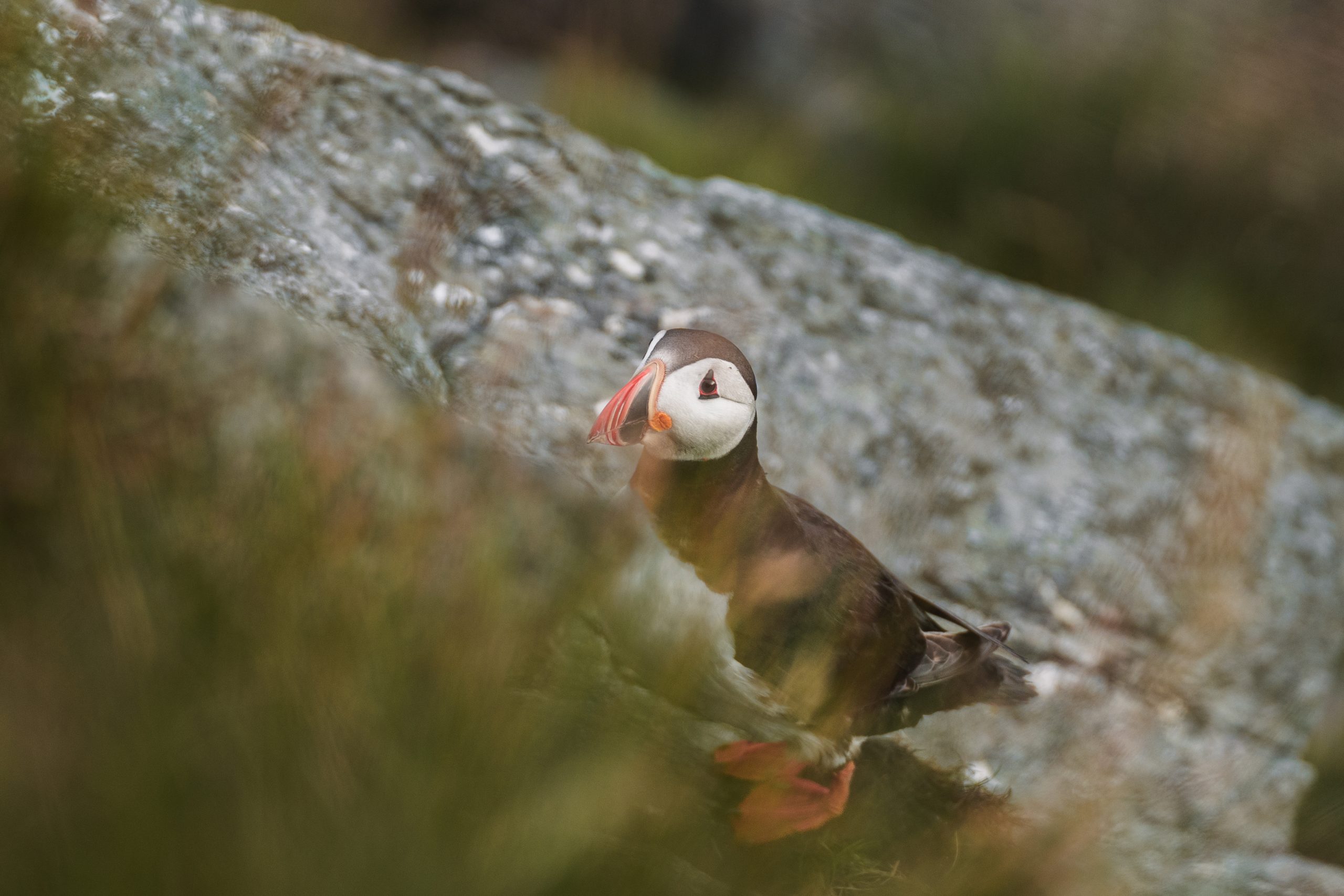 Viaje grupal Noruega Glaciar