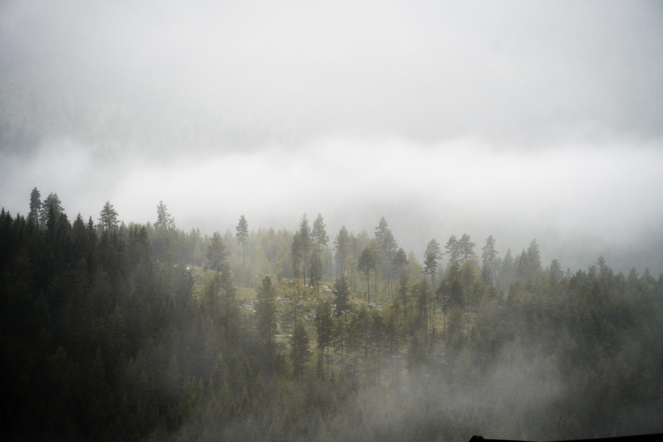 Viaje grupal Noruega Glaciar