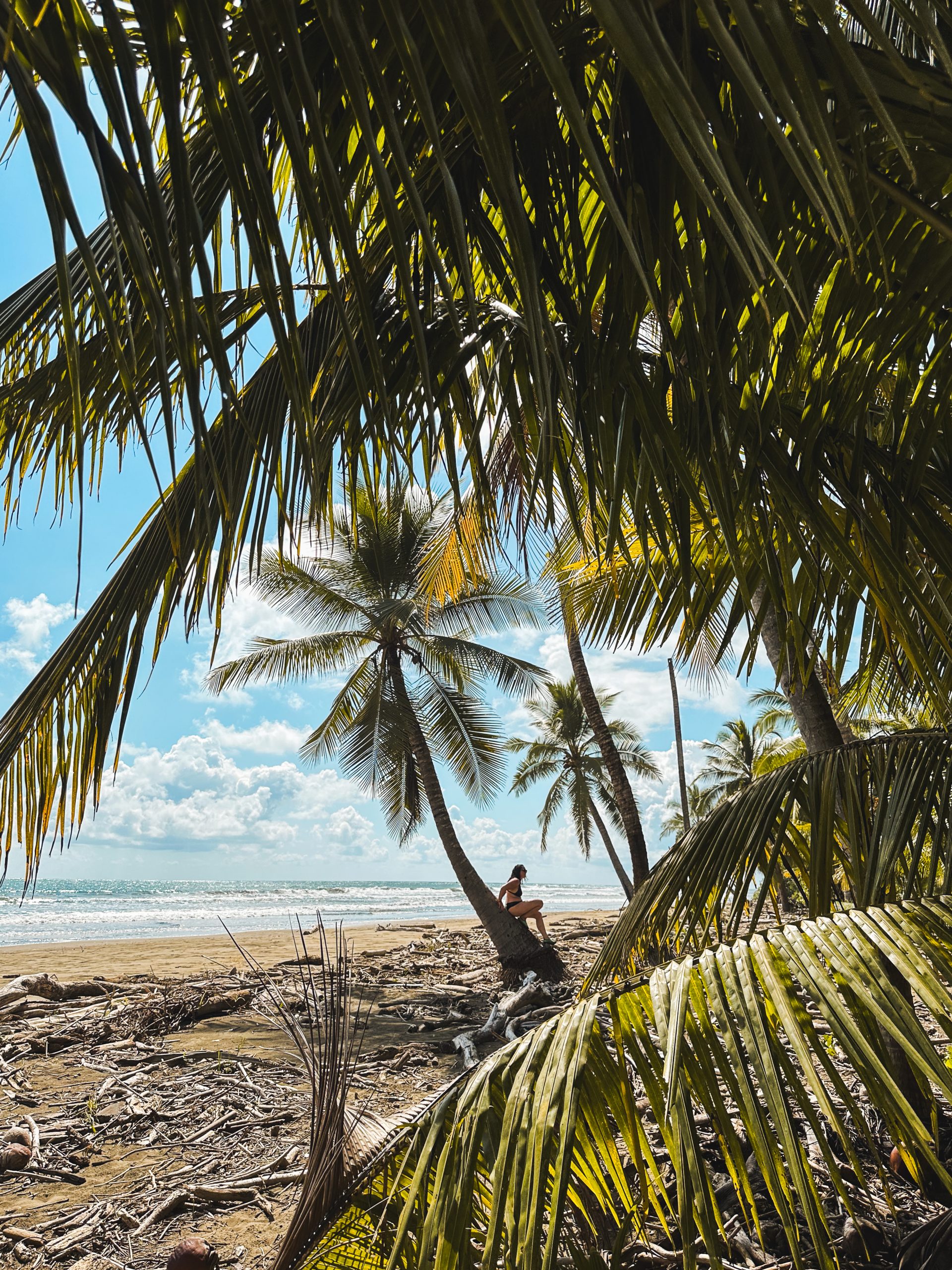 Viaje grupal a Costa Rica tropical Diciembre 2025