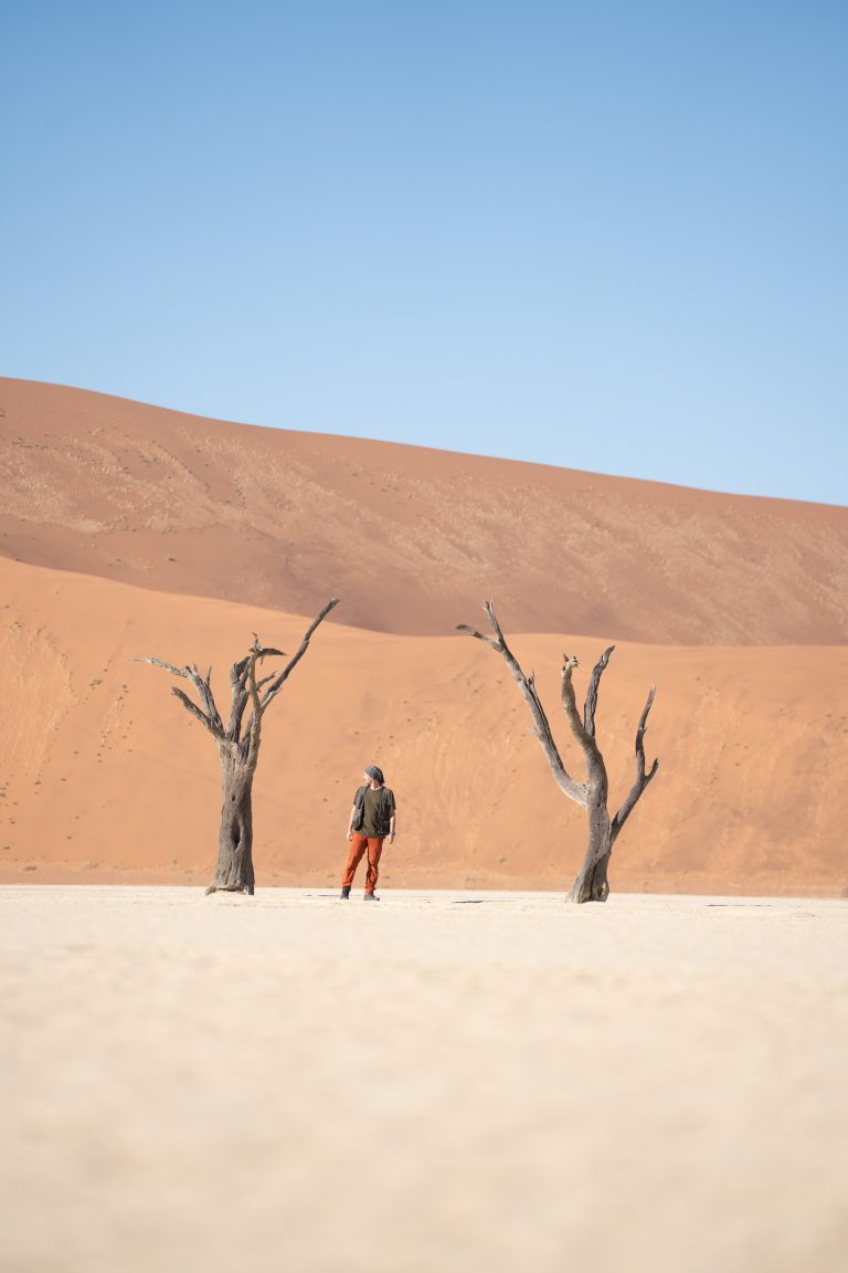 Viaje grupal a Namibia Indomita 2026