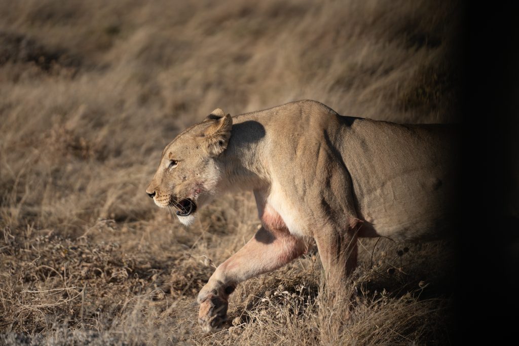 Viaje grupal a Namibia Indomita Etosha